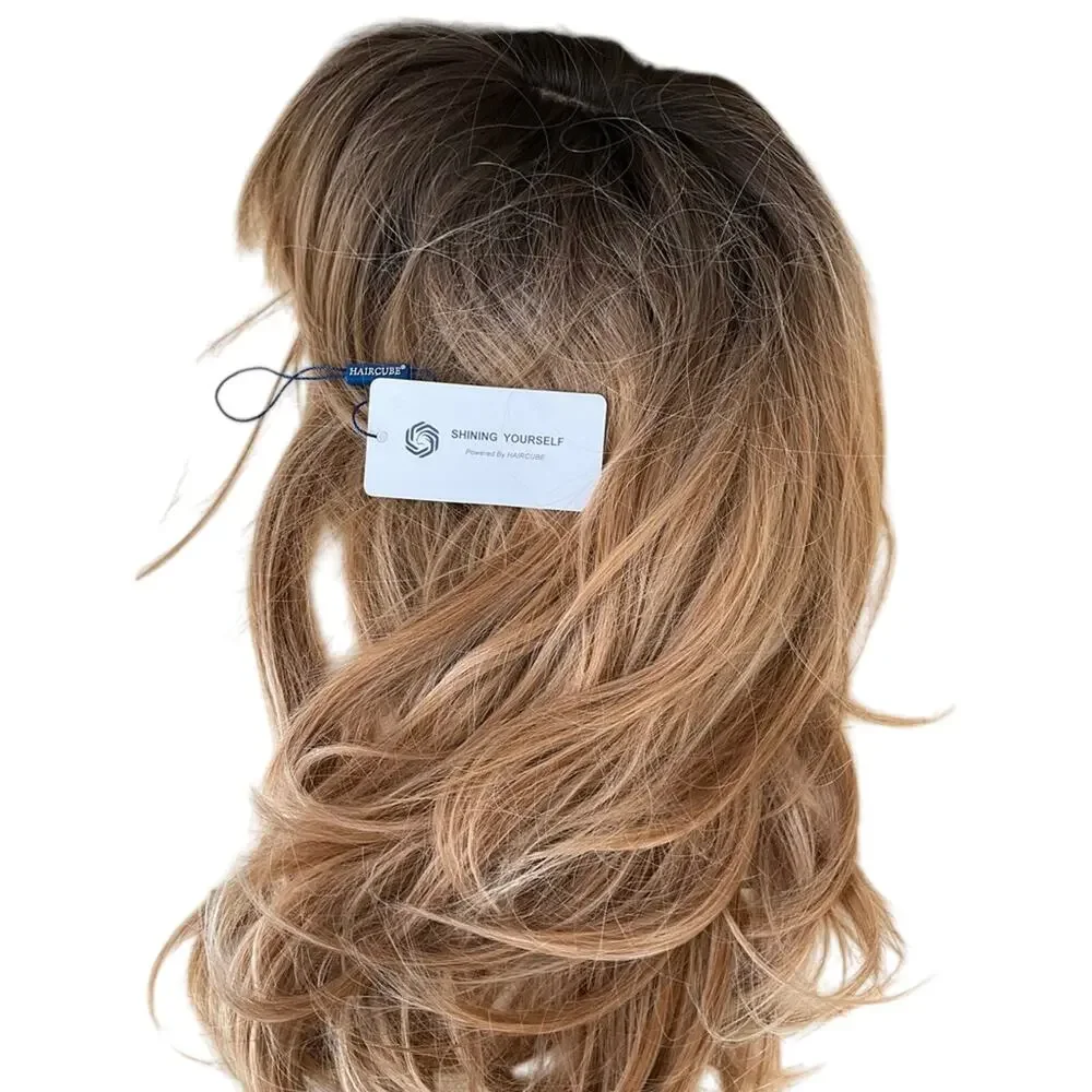 HAIRCUBE Elegant Brown Ombre Wig EUC